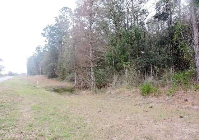 1st image of Tbd N State Road 21, Hawthorne, FL 32640 | MLS# OM718879