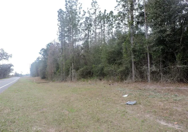 4th image of Tbd N State Road 21, Hawthorne, FL 32640 | MLS# OM718879
