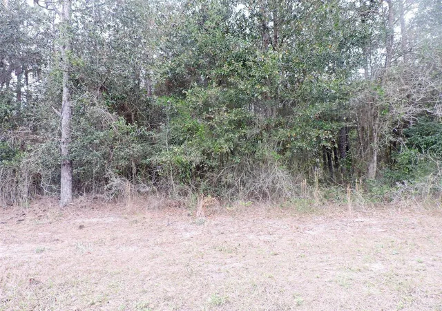 5th image of Tbd N State Road 21, Hawthorne, FL 32640 | MLS# OM718879