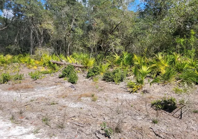 4th image of Tennessee St, Paisley, FL 32767 | MLS# O6382780