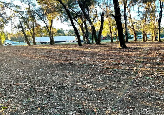 Photo 3 of Land for sale at 18376 Us Hwy 301, Dade City, FL 33523 | MLS# TB8476626 | Listing updated on 2026-08-20