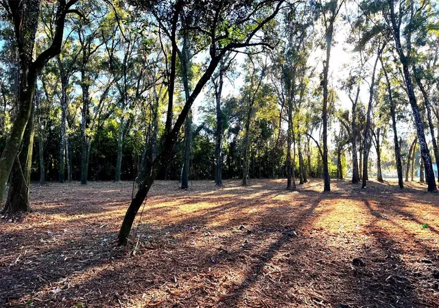 Photo 3 of Land for sale at 18376 US Hwy 301, Dade City, FL 33523 | MLS# TB8476626 | Listing updated on 2026-08-20