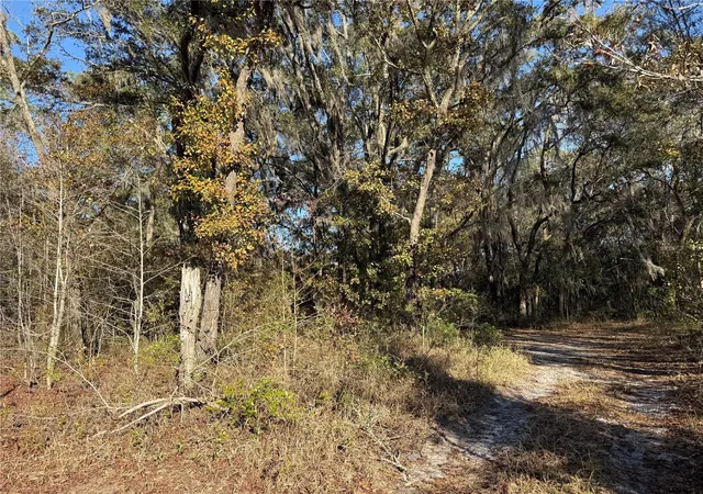 Homes for sale in Bronson, FL | 000 Ne 126 St, Bronson, FL 32621 | MLS# GC537562