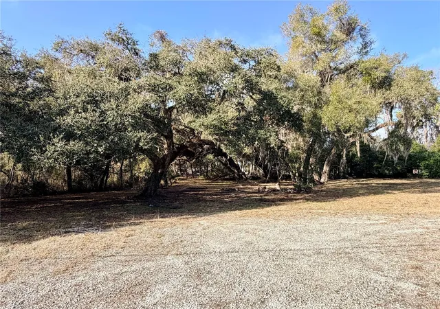 1st image of 5666 S Florida Ave, Floral City, FL 34436 | MLS# OM718942