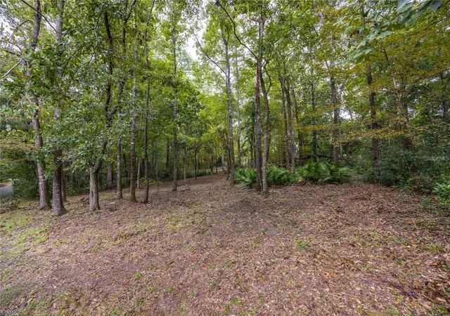 Photo 4 of Land for sale at 3960 NW 30th Place, Gainesville, FL 32606 | MLS# GC537613 | Listing updated on 2026-08-28
