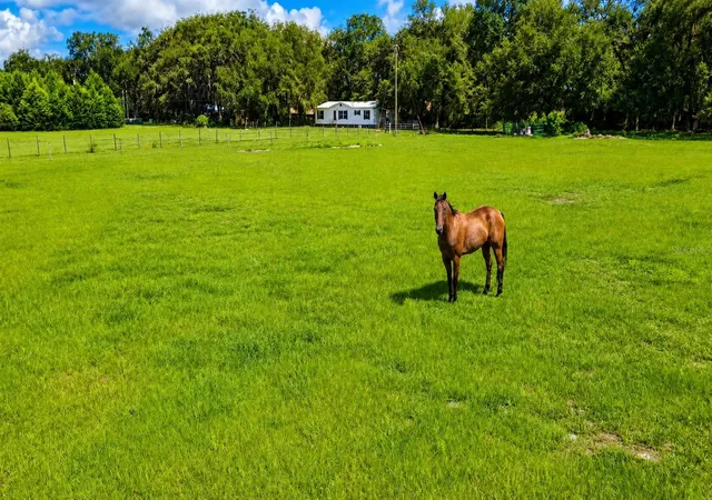 1st image of 14240 Sr 471, Webster, FL 33597 | MLS# G5108350