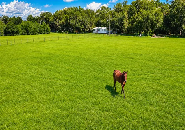 Photo 3 of Manufactured home for sale at 14240 Sr 471, Webster, FL 33597 | MLS# G5108350 | Listing updated on 2026-09-16