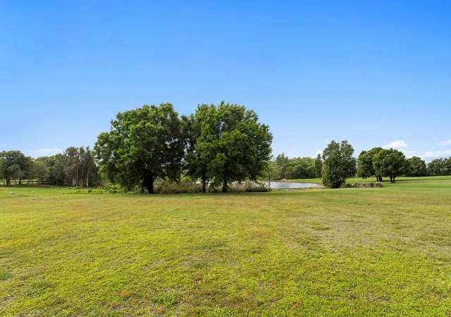 3rd image of 17253 Breeders Cup Dr, Odessa, FL 33556 | MLS# TB8477302