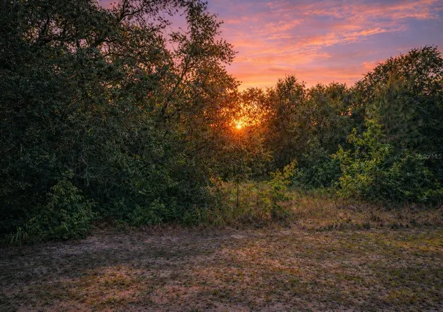 Photo 3 of Land for sale at 4375 Sw 194th Avenue, Dunnellon, FL 34432 | MLS# O6383335 | Listing updated on 2026-02-18