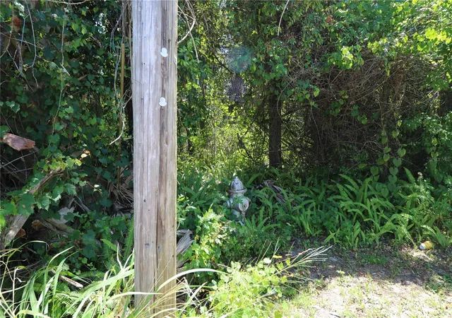 Photo 3 of Land for sale at 0 E Franklin St, Oviedo, FL 32765 | MLS# O6383444 | Listing updated on 2026-08-19