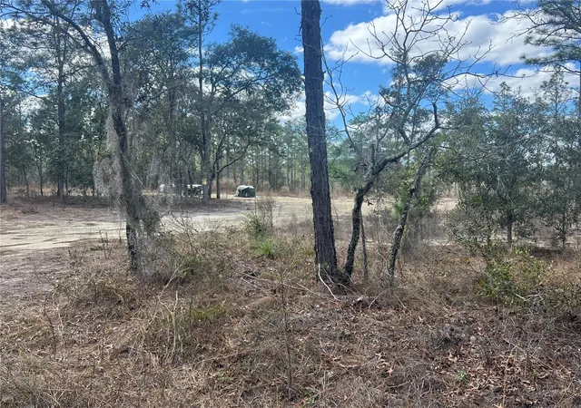 13th image of 0000 Se 135th Ct Se, Dunnellon, FL 34431 | MLS# W7883138