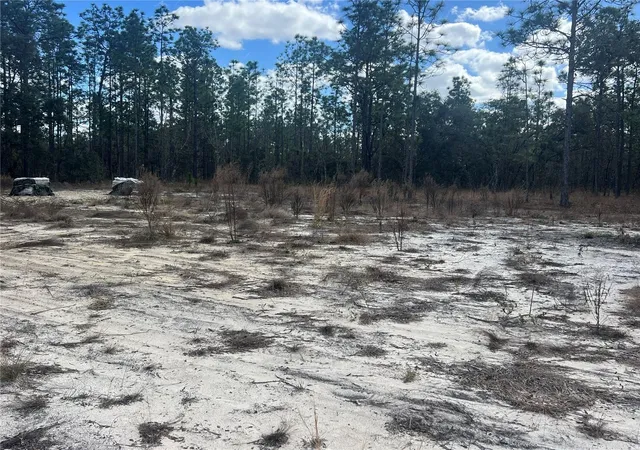 Photo 3 of Land for sale at 0000 Se 135th Court, Dunnellon, FL 34431 | MLS# W7883138 | Listing updated on 2026-08-07