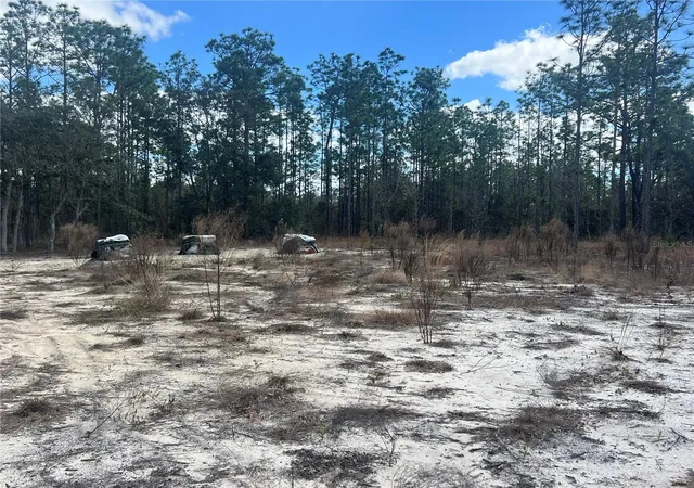 Photo 3 of Land for sale at 0000 SE 135th Court, Dunnellon, FL 34431 | MLS# W7883138 | Listing updated on 2026-08-07
