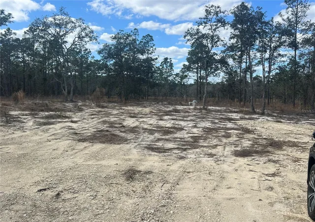 Photo 4 of Land for sale at 0000 SE 135th Court, Dunnellon, FL 34431 | MLS# W7883138 | Listing updated on 2026-08-07