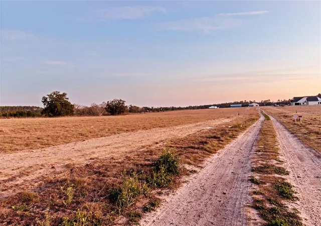 Photo 4 of Land for sale at 4302 Royal Sky (lot 4) Ct, Brooksville, FL 34602 | MLS# TB8477623 | Listing updated on 2026-10-13