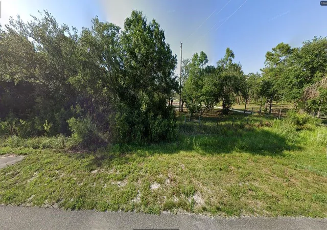 Photo 4 of Land for sale at 20901 State Rd 60 E, Lake Wales, FL 33898 | MLS# O6383830 | Listing updated on 2026-02-24