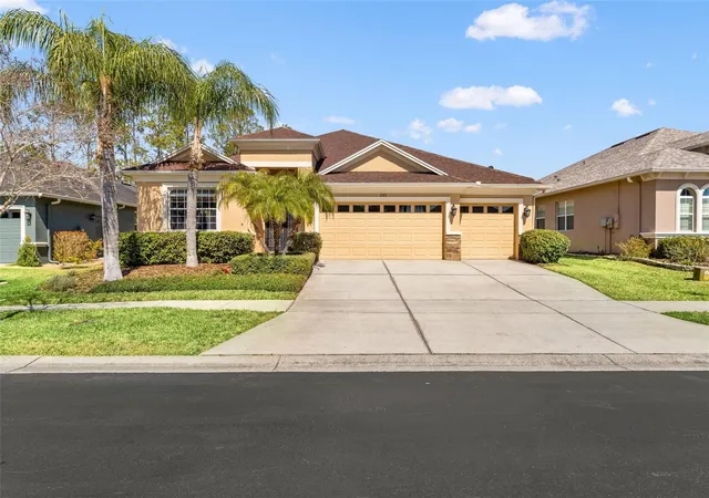 Homes for sale in Land O Lakes, FL | 3303 Stonegate Falls Dr, Land O Lakes, FL 34638 | MLS# W7883182