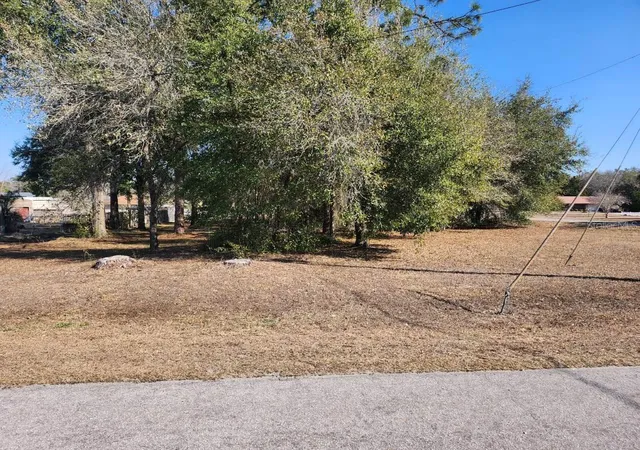 Photo 1 of Land for sale at Southeast 97th Ter, Summerfield, FL 34491 | MLS# TB8478193 | Listing updated on 2026-05-12