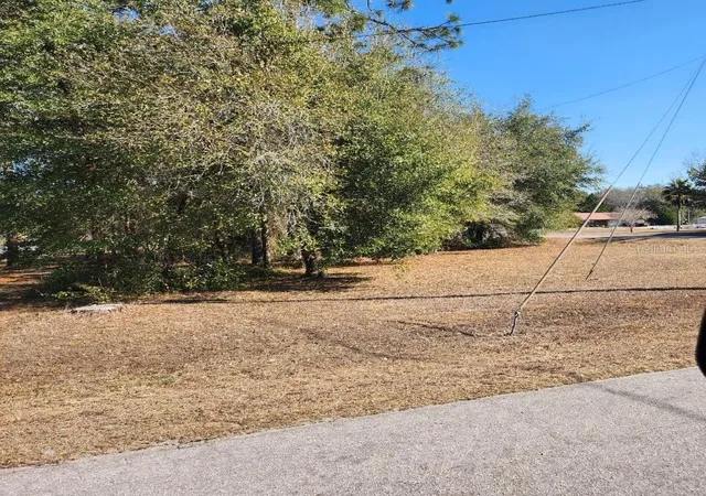 Photo 3 of Land for sale at Southeast 97th Ter, Summerfield, FL 34491 | MLS# TB8478193 | Listing updated on 2026-05-12