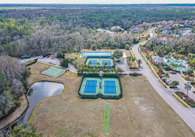 50th image of 10859 Cory Lake Dr, Tampa, FL 33647 | MLS# TB8478365