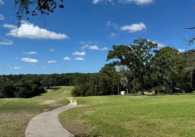 Photo 3 of Land for sale at 297 W Whitmarsh Ct, Dunnellon, FL 34434 | MLS# O6384101 | Listing updated on 2026-08-26