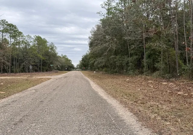 Photo 3 of Land for sale at 60 E Falcon St, Dunnellon, FL 34434 | MLS# O6384123 | Listing updated on 2026-09-04