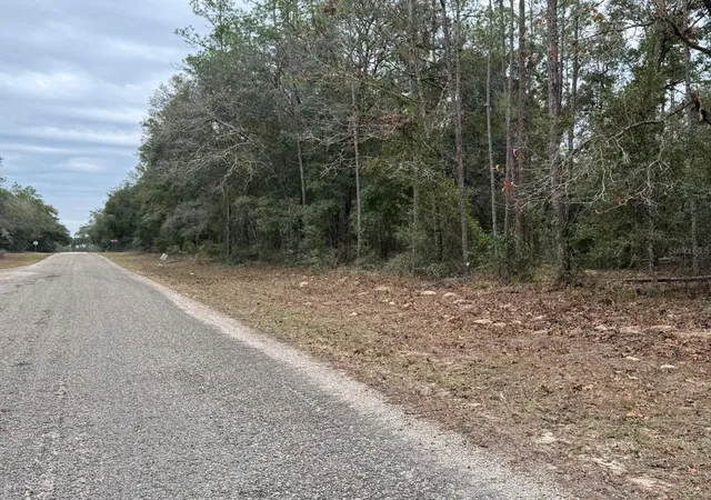 Photo 3 of Land for sale at 60 E Falcon St, Dunnellon, FL 34434 | MLS# O6384123 | Listing updated on 2026-09-04