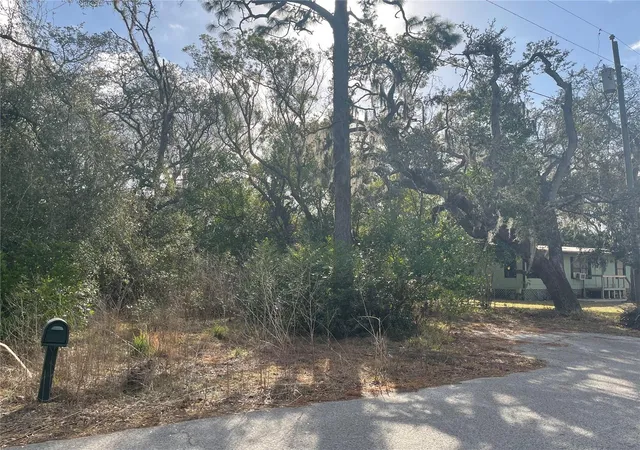 Photo 3 of Land for sale at 10024 Oana St, New Port Richey, FL 34654 | MLS# TB8478412 | Listing updated on 2026-08-14