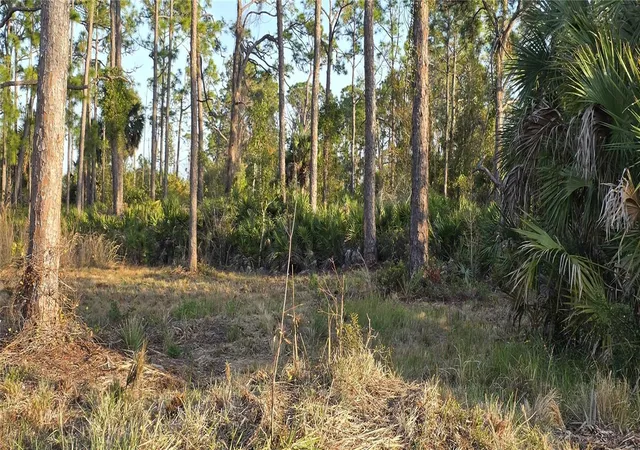 Photo 2 of Land for sale at 13262 Gorman Ave, Port Charlotte, FL 33981 | MLS# C7522264 | Listing updated on 2026-08-30