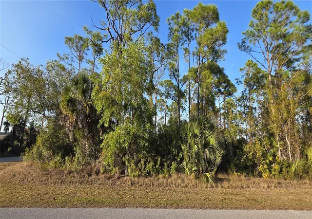 Photo 4 of Land for sale at 13262 Gorman Ave, Port Charlotte, FL 33981 | MLS# C7522264 | Listing updated on 2026-08-30