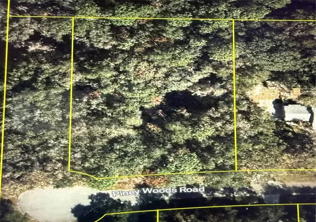 1st image of 101 Piney Woods Rd, Apopka, FL 32703 | MLS# O6384178