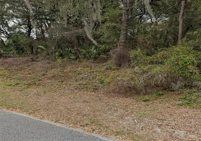 3rd image of 101 Piney Woods Rd, Apopka, FL 32703 | MLS# O6384178