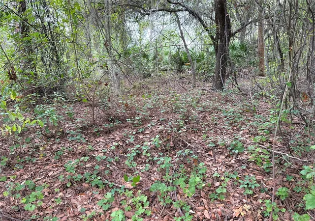 Photo 3 of Land for sale at 368 Nestle Ave, Lehigh Acres, FL 33972 | MLS# OM719235 | Listing updated on 2026-10-01