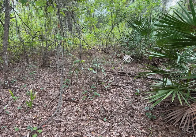 Photo 4 of Land for sale at 368 Nestle Ave, Lehigh Acres, FL 33972 | MLS# OM719235 | Listing updated on 2026-10-01