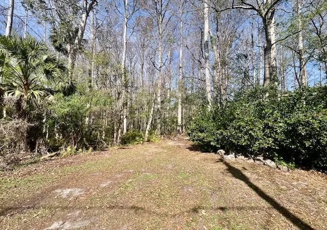Photo 3 of Land for sale at 0 Southwood Ct, New Port Richey, FL 34654 | MLS# W7883211 | Listing updated on 2026-06-24