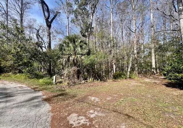 Photo 4 of Land for sale at 0 Southwood Ct, New Port Richey, FL 34654 | MLS# W7883211 | Listing updated on 2026-06-24