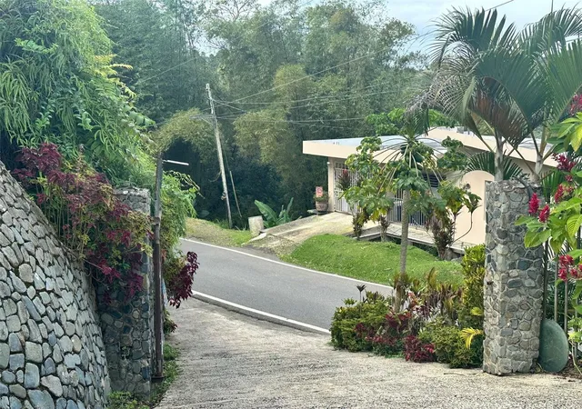 Homes for sale in Aguas Buenas, PR | 795 Bairoa, Aguas Buenas, PR 00703 | MLS# PR9119414