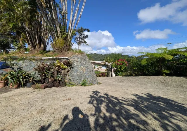 Homes for sale in Aguas Buenas, PR | 795 Bairoa, Aguas Buenas, PR 00703 | MLS# PR9119414
