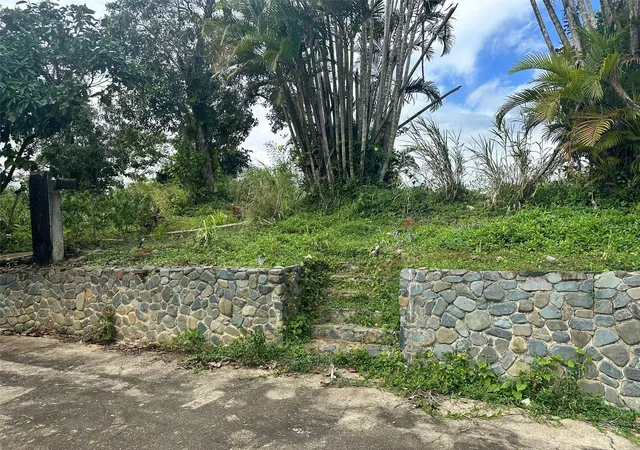 Homes for sale in Aguas Buenas, PR | 795 Bairoa, Aguas Buenas, PR 00703 | MLS# PR9119414