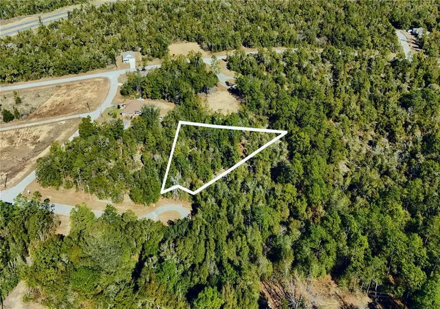 Homes for sale in Chipley, FL | 00 Lark Ct, Chipley, FL 32428 | MLS# TB8478747