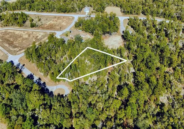 Homes for sale in Chipley, FL | 00 Lark Ct, Chipley, FL 32428 | MLS# TB8478747