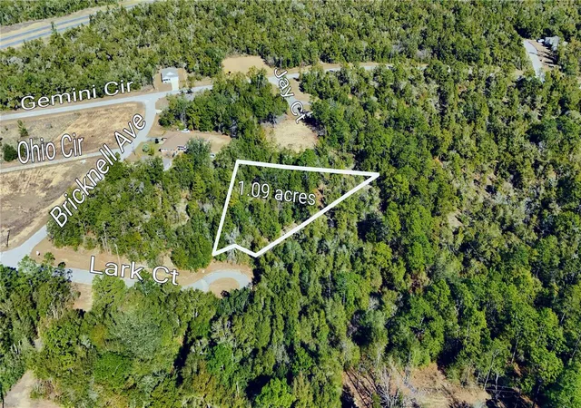 Homes for sale in Chipley, FL | 00 Lark Ct, Chipley, FL 32428 | MLS# TB8478747