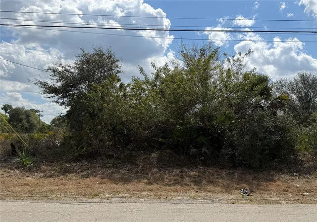 Homes for sale in Lehigh Acres, FL | 522 Columbus Blvd S, Lehigh Acres, FL 33974 | MLS# TB8478763