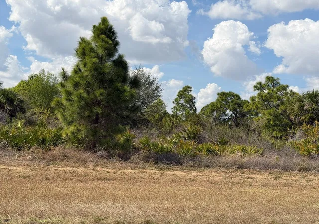 Homes for sale in Lehigh Acres, FL | 524 Columbus Blvd S, Lehigh Acres, FL 33974 | MLS# TB8478809