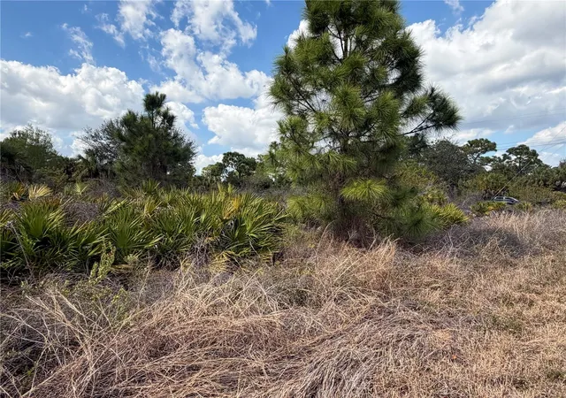 Homes for sale in Lehigh Acres, FL | 524 Columbus Blvd S, Lehigh Acres, FL 33974 | MLS# TB8478809