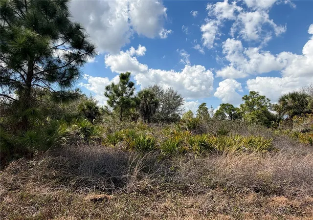 Homes for sale in Lehigh Acres, FL | 524 Columbus Blvd S, Lehigh Acres, FL 33974 | MLS# TB8478809