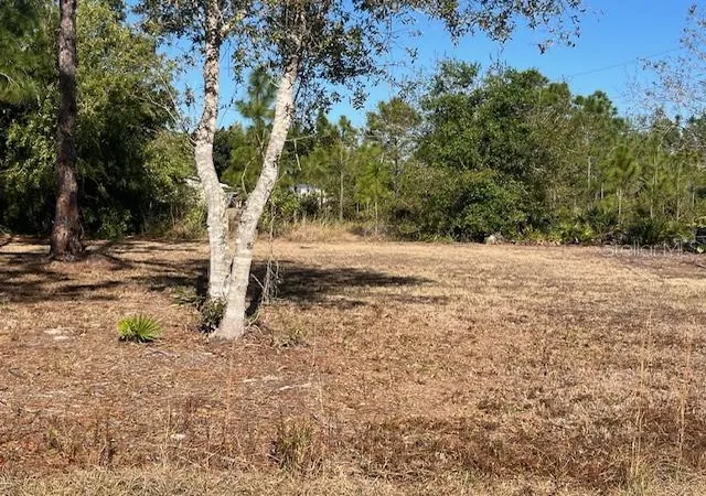 Photo 4 of Land for sale at 11508 6th Avenue, Punta Gorda, FL 33955 | MLS# C7522327 | Listing updated on 2026-09-19