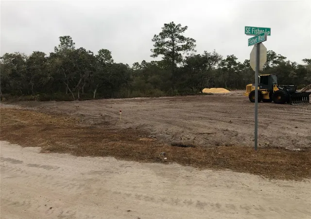 1st image of 0 Fisher Loop, Ocklawaha, FL 32179 | MLS# OM719370
