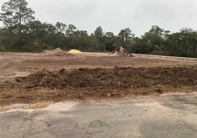 2nd image of 0 Fisher Loop, Ocklawaha, FL 32179 | MLS# OM719370