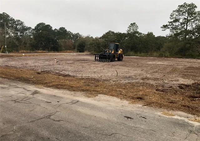 4th image of 0 Fisher Loop, Ocklawaha, FL 32179 | MLS# OM719370